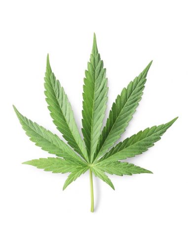 Salv lõhenenud ülikuivale nahale 75g