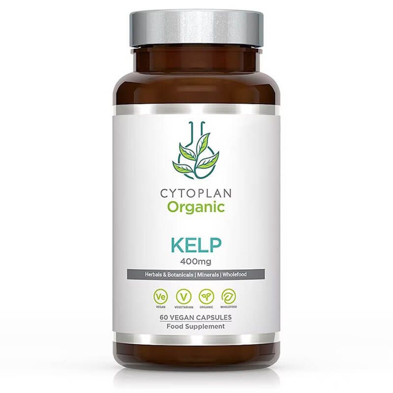 Organinės rudadumbliai Kelp...
                         