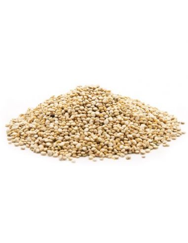 Mahe kinoa valge 1kg