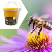 🐝🍯Kudu talu kreemjas mesi 1kg

,,Kudu talu mesi on korjatud usinate mesimummide🌞 poolt Viljandimaa Raudna jõe oru kallastelt, niitudelt, rabakanarbikust ja mahepõldudelt. 

🌾Ümberkaudsetel mahepõldudel, aga ka mesilaste hooldusel ja mee käitlemisel ei ole kasutatud ühtegi keemilist ainet.

🐝Mummid on hästi hoitud ja armastatud. Mesi on väga puhas ja korjatud suure hoolega.

Mõnusa mummumee leiad siit 👉https://biolife.ee/avaleht/1199-kudu-talu-kreemjas-mesi-1kg.html