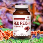 ❤️Ecoshi Red Reishi

Ida-Aasiast pärinev punane Red Reishi seen e. Ganoderma toetab ja tasakaalustab kõikide organismisüsteemide normaalset funktsioneerimist, sealjuures üldist tervist ja füüsilist jõudu. Jahvatatud seenepulber soodustab und ja vähendab väsimust, annab energiat ning aitab kaasa keha puhastamisele.

❤️Reishi seene kasulikud toimed:

– suurendab keha vastupanuvõimet ja tugevdab immuunsüsteem
– aitab kaasa keha mürikdest puhastumisel
– parandab üldist tervist ja füüsilist jõudu

Loe veel Reishi seene kasulike omaduste kohta siit 👉https://biolife.ee/et/toidulisandid/298-red-reishi-eganoderma-bio-life-ecosh.html

#redreishi #biolife #ecosh